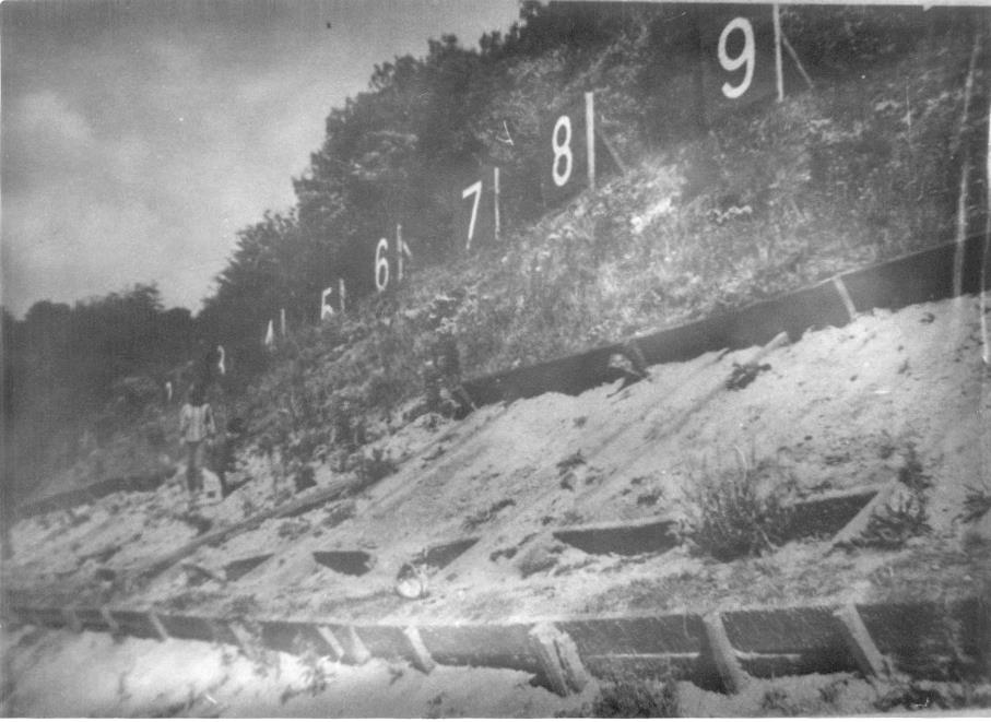 Photograph of the numbered targets built into the scarp slope at the new Westcott Rifle Range